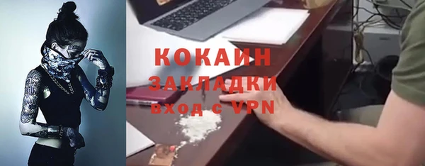 индика Новодвинск