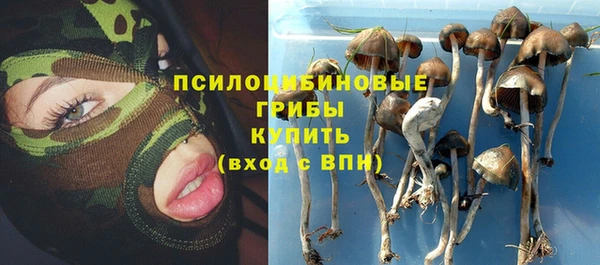 молекула духа Алзамай