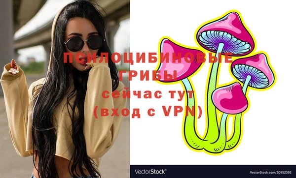 кокс Алексеевка