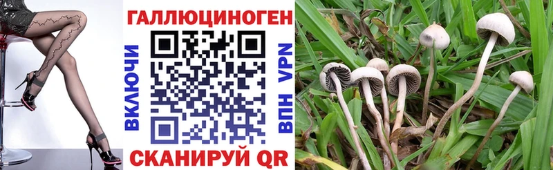 Псилоцибиновые грибы мухоморы  Тайга 